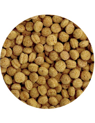 PET CUP PIENSO PERFECT PSITACIDAS 10 KG 2 5 KG