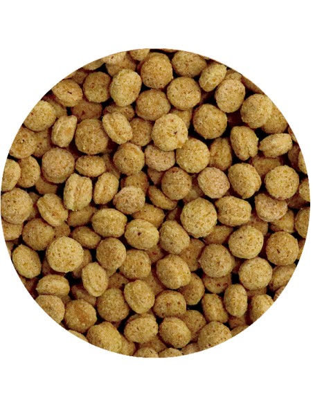 PET CUP PIENSO PERFECT PSITACIDAS 10 KG 2 5 KG