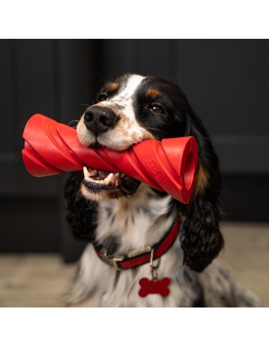 FROGG DUMBBELL JUGUETE MORDEDOR PARA PERROS - 17,6 CM