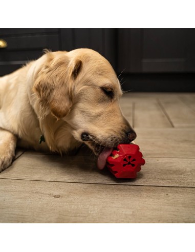 FROGG FETCH JUGUETE MORDEDOR PARA PERROS - 20 CM 20 CM