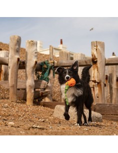 FRUBBA CALABAZA Y CUERDA JUGUETE PARA PERROS 2