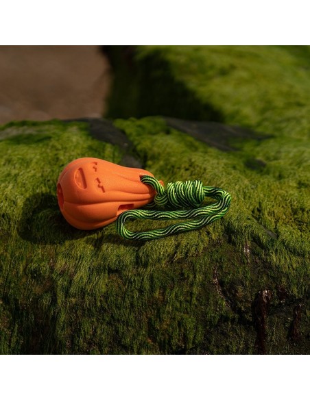 FRUBBA CALABAZA Y CUERDA JUGUETE PARA PERROS