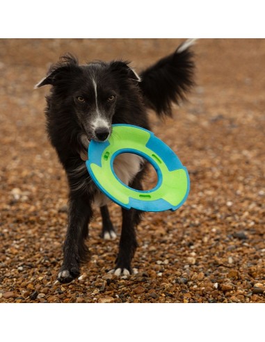 FRUBBA DISCO FLYER PLAY