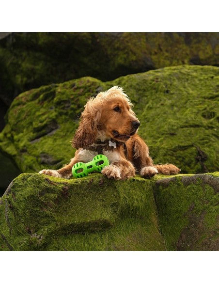 FRUBBA DUMBBELL JUGUETE PARA PREMIOS