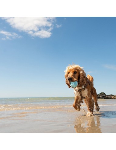FRUBBA PACK 2 PELOTAS (IRREGULAR AZUL + DIAMANTE ROSA)