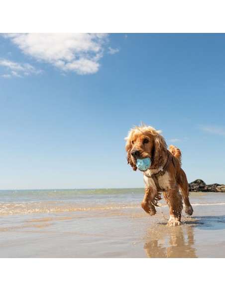 FRUBBA PACK 2 PELOTAS (IRREGULAR AZUL + DIAMANTE ROSA)