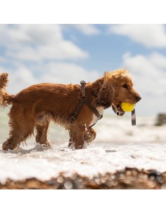 FRUBBA PELOTA PARA LANZAR CON LUZ 2