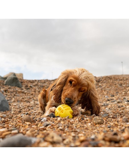 FRUBBA PELOTA PARA PREMIOS