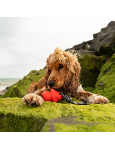 FRUBBA SETA Y CUERDA JUGUETE PARA PERROS
