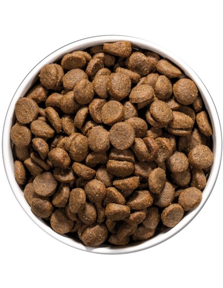 OWNAT CAR DERMATOLOGIC DOG 3 KG 10 KG - 4