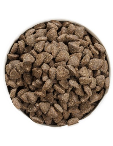 OWNAT PRIME GRAIN FREE ADULT LAMB 3 KG 12 KG - 4