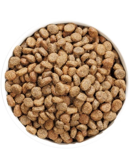 OWNAT HYPO GRAIN FREE MINI LAMB 1 KG 3 KG