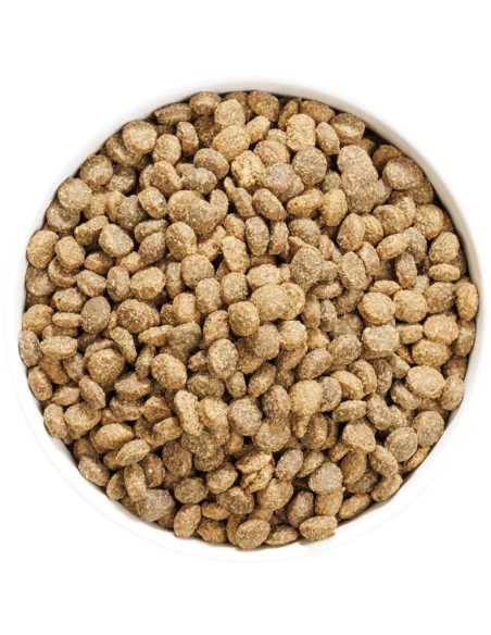 OWNAT AUTHOR FRESH LAMB & PORK 3 KG 10 KG