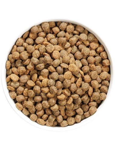 OWNAT AUTHOR JUNIOR FRESH CHICKEN 3 KG 10 KG