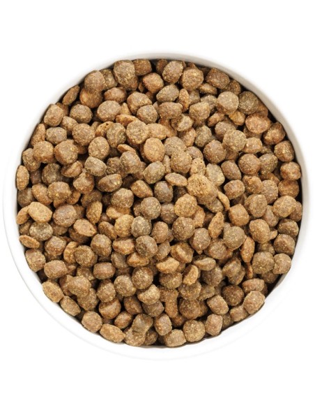 OWNAT AUTHOR JUNIOR FRESH CHICKEN 3 KG 10 KG