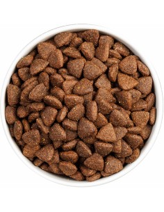 OWNAT CLASSIC MONOPROTEICO IBERIAN PORK 4 KG 12 KG 2