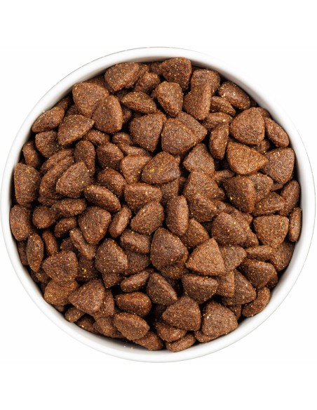 OWNAT CLASSIC MONOPROTEICO IBERIAN PORK 4 KG 12 KG