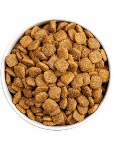 OWNAT CLASSIC MONOPROTEICO LAMB 4 KG 12 KG