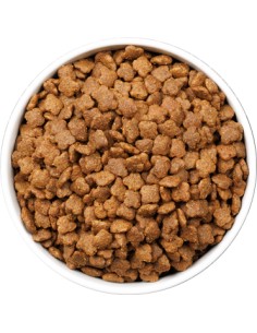OWNAT ULTRA CAT YOUNG 400 GR 1 5 KG 3 KG 8 KG 2