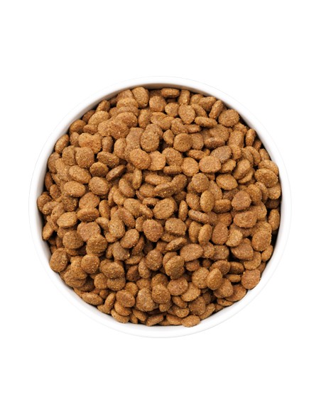 OWNAT ULTRA CAT YOUNG STERILIZED 400 GR 1 5 KG 3 KG 8 KG