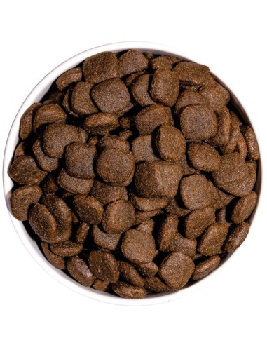 OWNAT ULTRA MEDIUM ADULT 400 GR 3 KG 12 KG