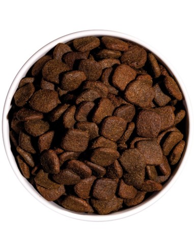 OWNAT HYPO GRAIN FREE SALMON 3 KG 12 KG