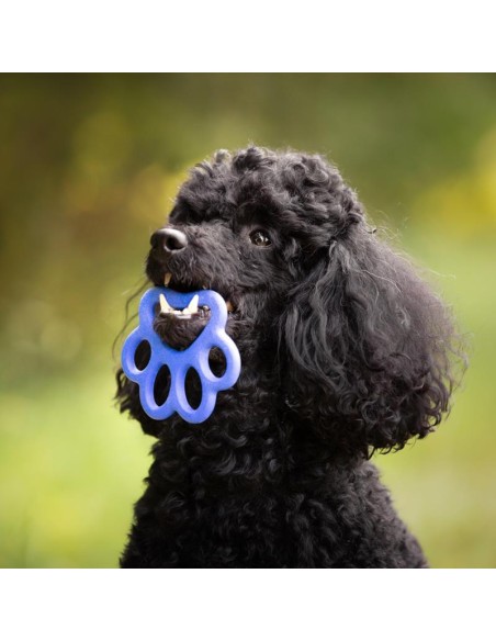 BAMA PET MORDEDOR ORMA 8 5 X 8 X 0 9 CM 14 X 13 X 1 5 CM 16 5 X 15 5 X 2 CM