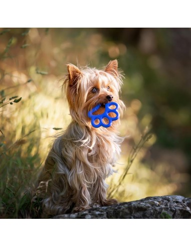 BAMA PET MORDEDOR ORMA 8 5 X 8 X 0 9 CM 14 X 13 X 1 5 CM 16 5 X 15 5 X 2 CM