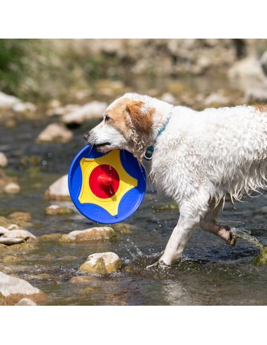 BAMA PET DISCO TROTTO 24 5 X 4 5 CM