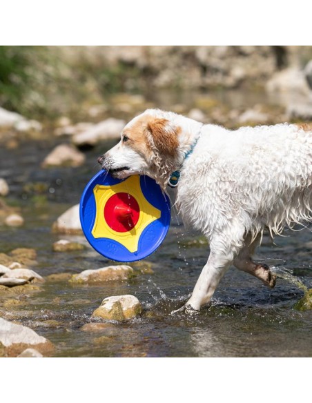 BAMA PET DISCO TROTTO 24 5 X 4 5 CM