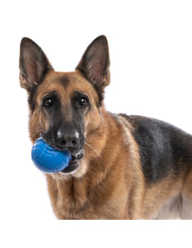 BAMA PET PELOTA RUGA Ø8 CM