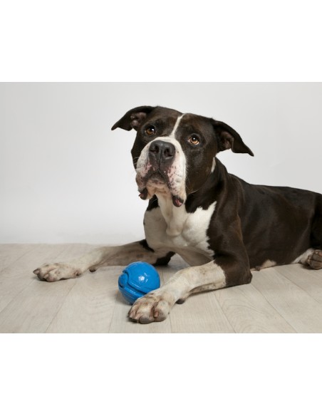 BAMA PET PELOTA RUGA Ø8 CM