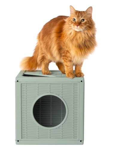 BAMA PET CASA GATOS QUBLO MODULAR VERDE 35 X 35 X 35 CM