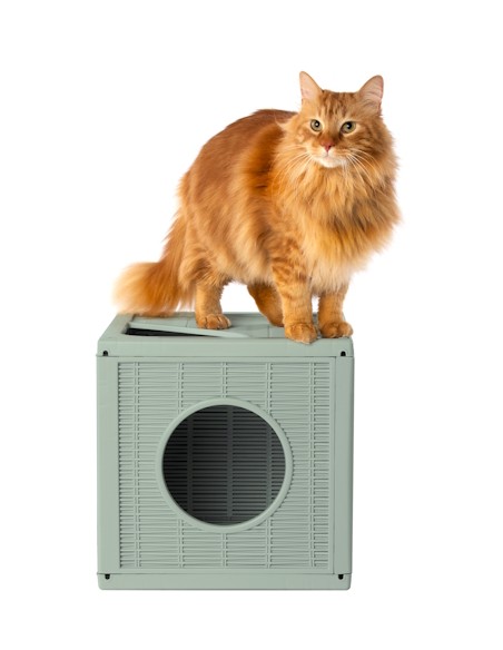 BAMA PET CASA GATOS QUBLO MODULAR VERDE 35 X 35 X 35 CM