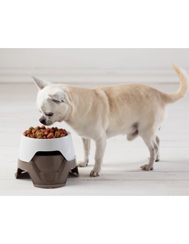 BAMA PET COMEDERO CIOTOLE MIMI 19 X 19 X 10/13 CM