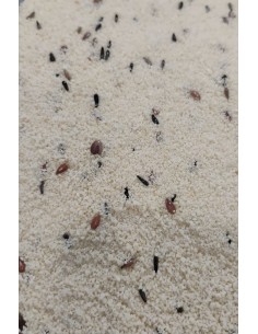 ORNIVALLES PASTA SECA WHITE V5 5 KG 2