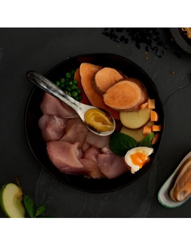 CANAGAN POLLO CAMPERO PARA CACHORROS 2 KG 12 KG 6 KG - 2