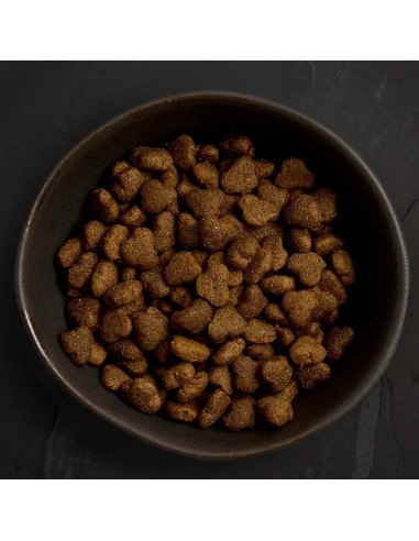 CANAGAN POLLO CAMPERO PARA CACHORROS 2 KG 12 KG 6 KG - 4