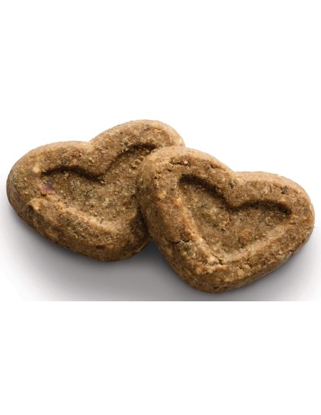 CANAGAN GALLETAS HORNEADAS DE SALMÓN OMEGA PARA PERROS - 150 GR 150 GR - 3