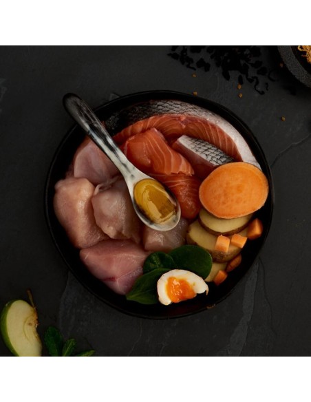 CANAGAN LIGTH - SENIOR - ESTERILIZADOS PARA GATOS 4 KG 1 5 KG 375 GR - 2