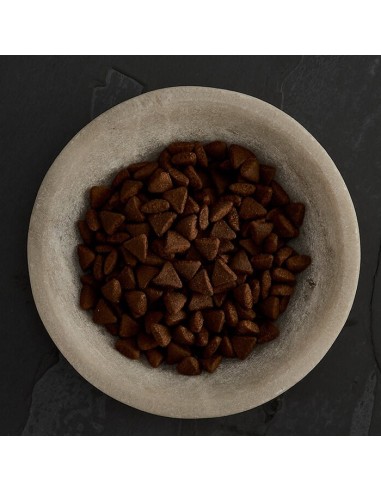 CANAGAN CARNES DE CAZA PARA GATOS 4 KG 1 5 KG 375 GR - 4