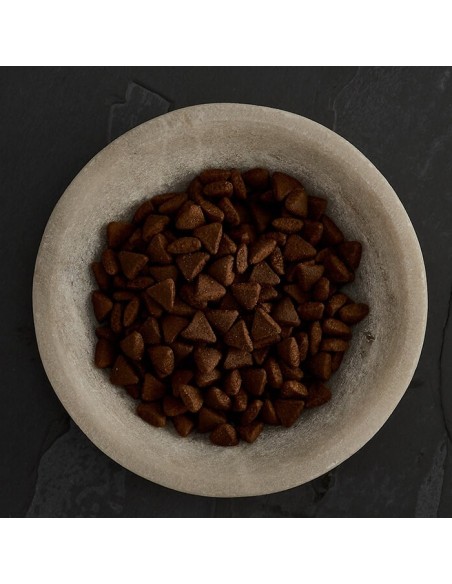 CANAGAN CARNES DE CAZA PARA GATOS 4 KG 1 5 KG 375 GR - 4