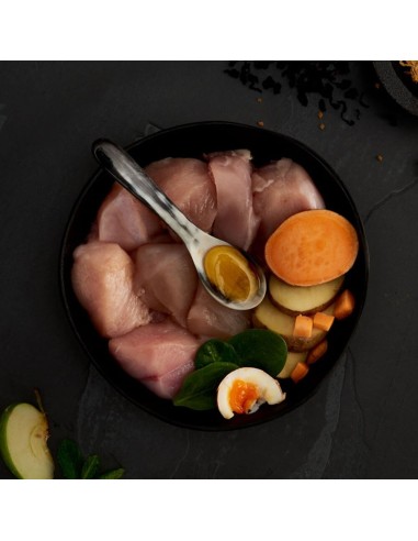 CANAGAN POLLO CAMPERO PARA GATOS 4 KG 8 KG 1 5 KG 375 GR - 4