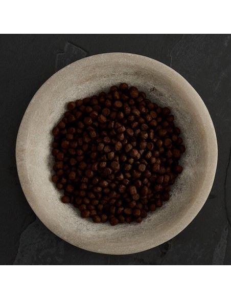 CANAGAN SALMÓN ESCOCÉS PARA GATOS 4 KG 8 KG 1 5 KG 375 GR - 3