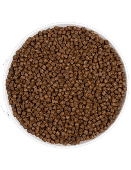 ERA PIENSO GRAIN FREE KITTEN POLLO Y PAVO - 1,25 KG 1 25 KG - 4