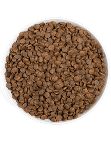 ERA PIENSO GRAIN FREE CAT SENSITIVE SALMÓN Y PAVO 3 KG 1 25 KG - 4