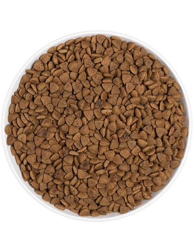 ERA PIENSO GRAIN FREE CAT STERILISED POLLO Y PAVO 3 KG 1 25 KG - 4