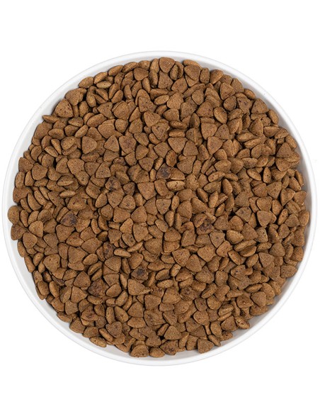 ERA PIENSO GRAIN FREE CAT STERILISED POLLO Y PAVO 3 KG 1 25 KG - 4