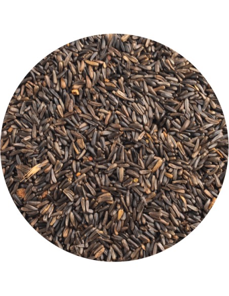 PET CUP NEGRILLO - 20 KG 20 KG