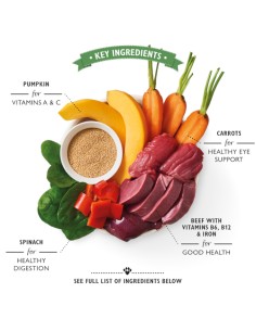 LILY`S LILY´S BEEF GOULASH TIN PARA PERROS - 400 GR 6 X 400 GR 1 X 400 GR - 2 2